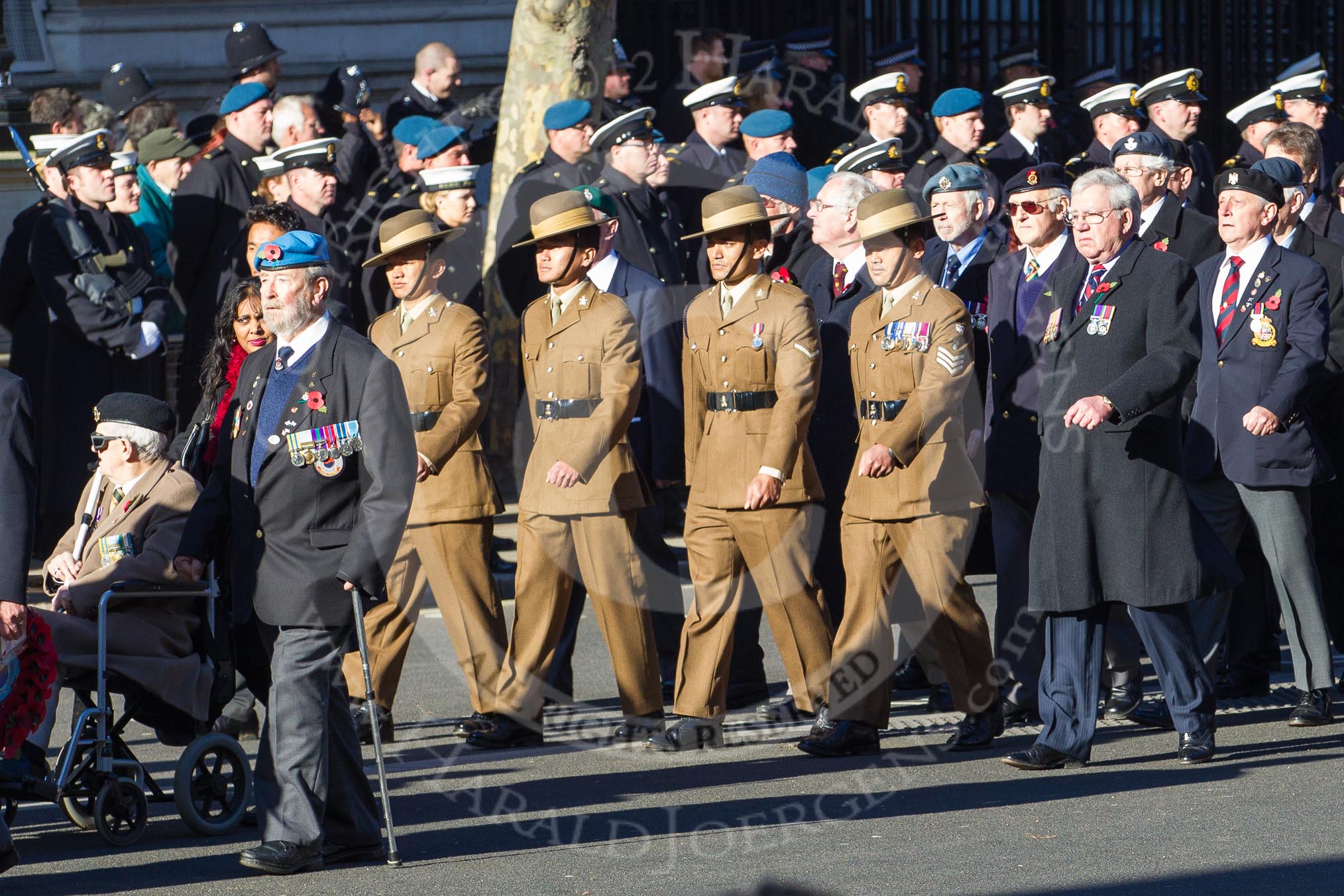 Remembrance Sunday 2012 Cenotaph March Past: Group F9 - National Malaya & Borneo Veterans Association..
Whitehall, Cenotaph,
London SW1,

United Kingdom,
on 11 November 2012 at 11:46, image #437