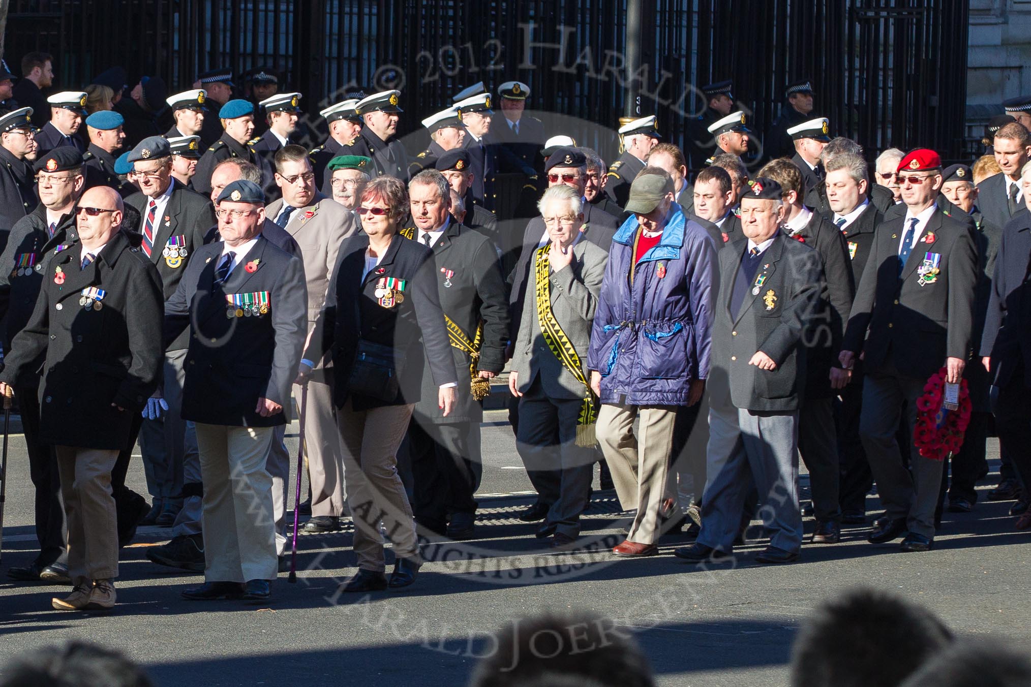 Remembrance Sunday 2012 Cenotaph March Past: Group  F15 - National Gulf Veterans & Families Association..
Whitehall, Cenotaph,
London SW1,

United Kingdom,
on 11 November 2012 at 11:47, image #501