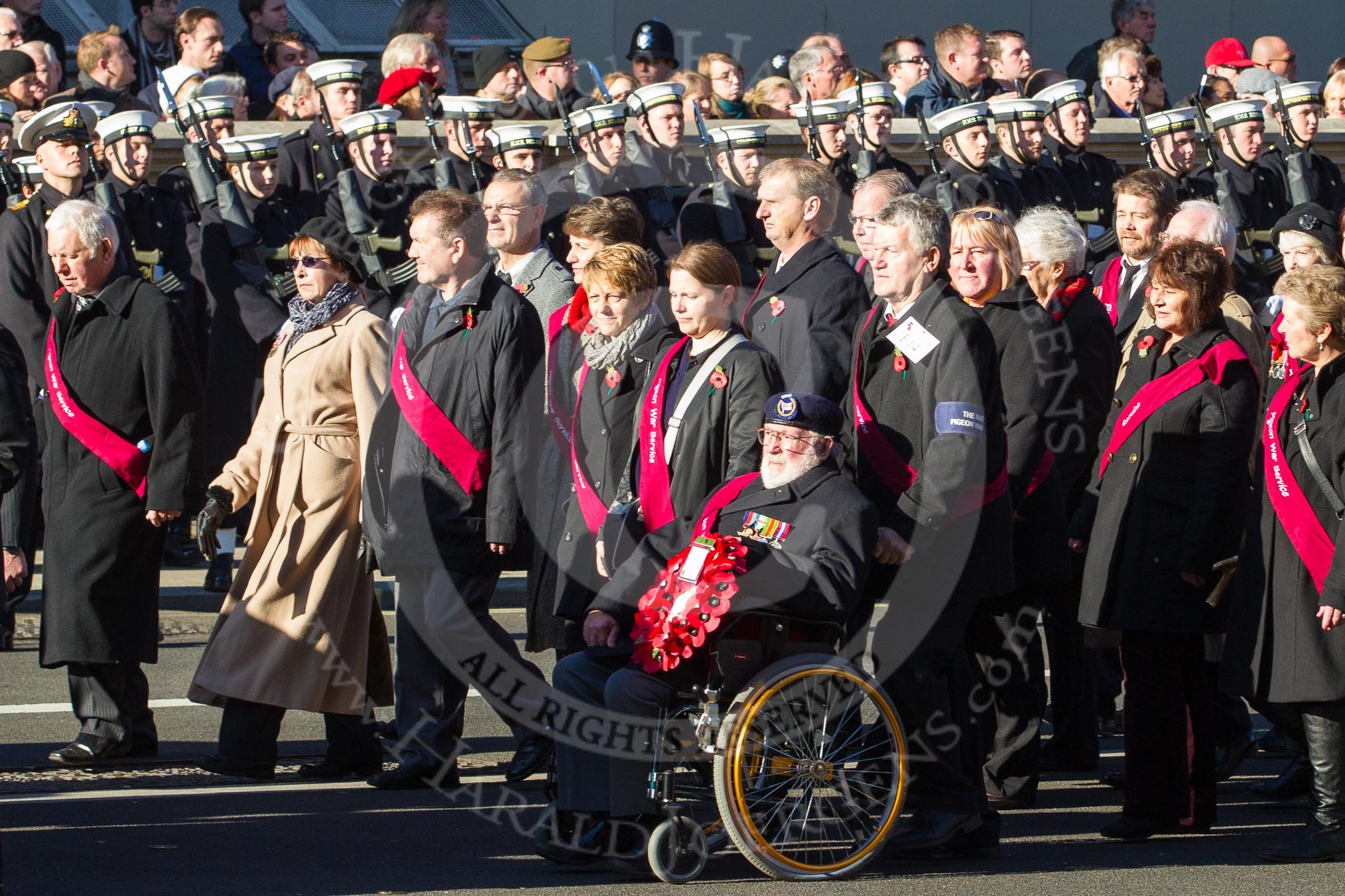 Remembrance Sunday 2012 Cenotaph March Past: Group F14 - National Pigeon War Service..
Whitehall, Cenotaph,
London SW1,

United Kingdom,
on 11 November 2012 at 11:47, image #505