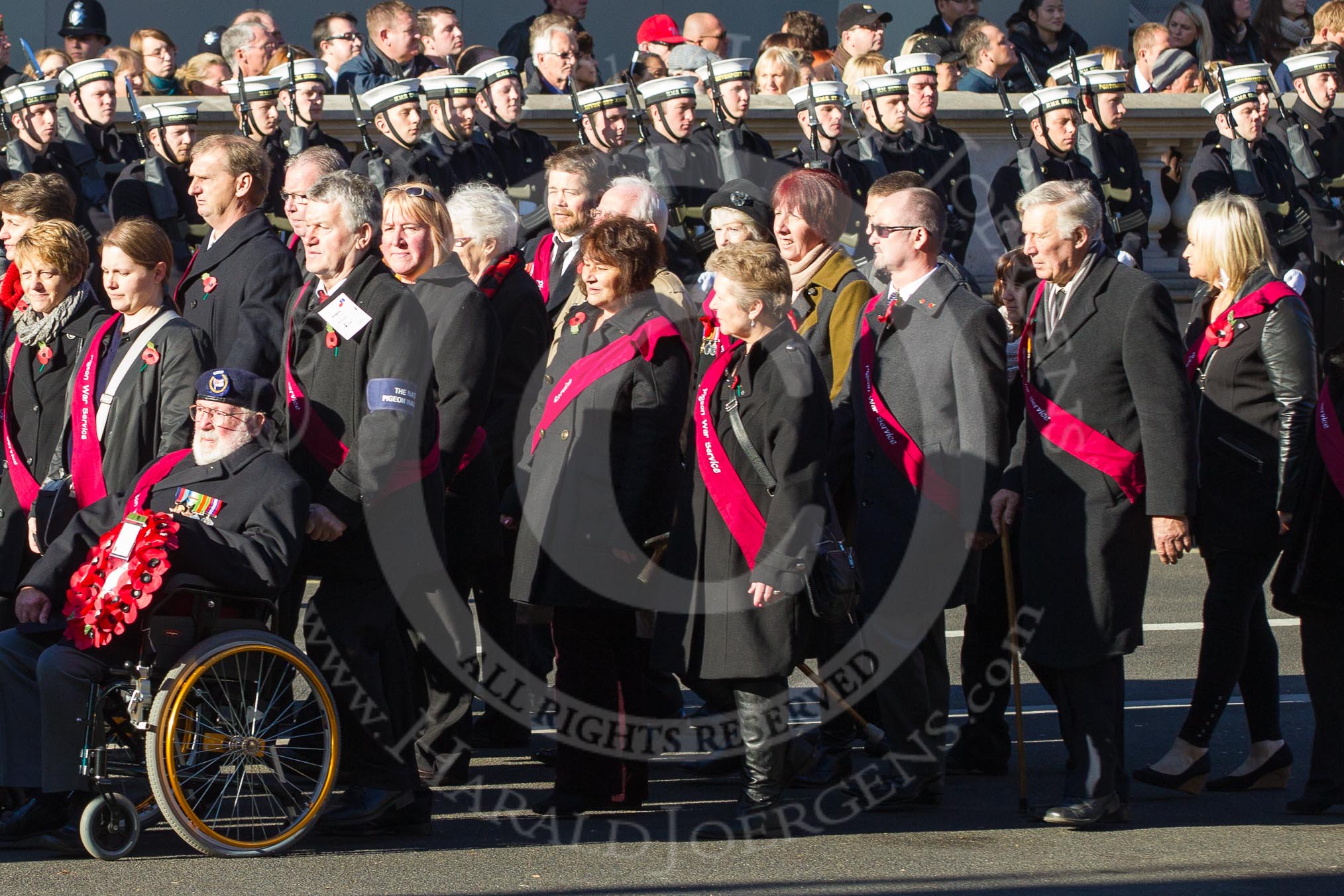 Remembrance Sunday 2012 Cenotaph March Past: Group F14 - National Pigeon War Service..
Whitehall, Cenotaph,
London SW1,

United Kingdom,
on 11 November 2012 at 11:47, image #506