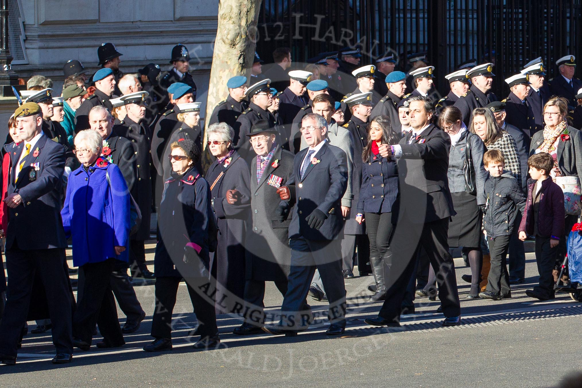 Remembrance Sunday 2012 Cenotaph March Past: Group A1/2/3 - Princess of Wales's Royal Regiment/Prince of Wales's Leinster Regiment (Royal Canadians) Regimental Association/Royal East Kent Regiment (The Buffs) Past & Present Association..
Whitehall, Cenotaph,
London SW1,

United Kingdom,
on 11 November 2012 at 11:48, image #563