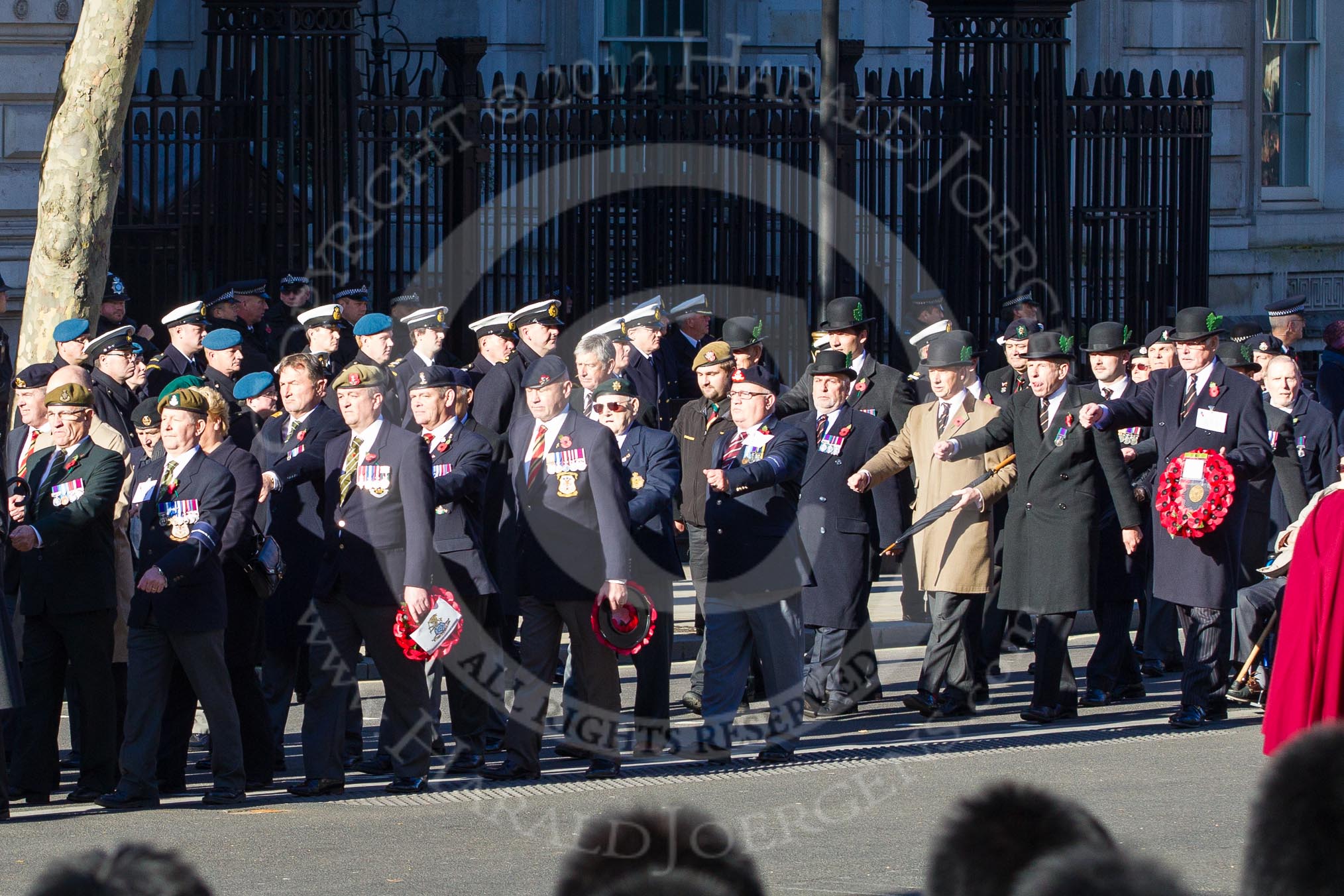 Remembrance Sunday 2012 Cenotaph March Past: Group A7 - Royal Northumberland Fusiliers, A8 - 
The Duke of Lancaster's Regimental Association, and A9 - Green Howards Association..
Whitehall, Cenotaph,
London SW1,

United Kingdom,
on 11 November 2012 at 11:49, image #597