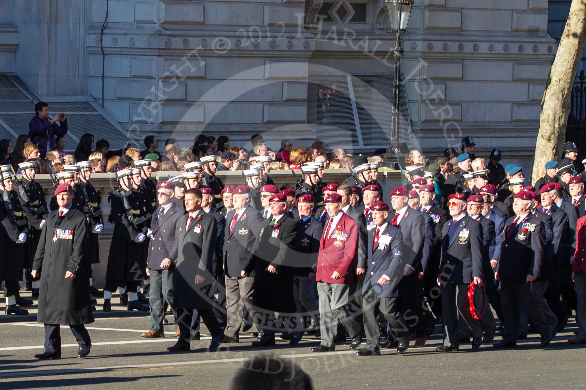 Remembrance Sunday 2012 Cenotaph March Past: Group A20 - Parachute Regimental Association..
Whitehall, Cenotaph,
London SW1,

United Kingdom,
on 11 November 2012 at 11:51, image #678