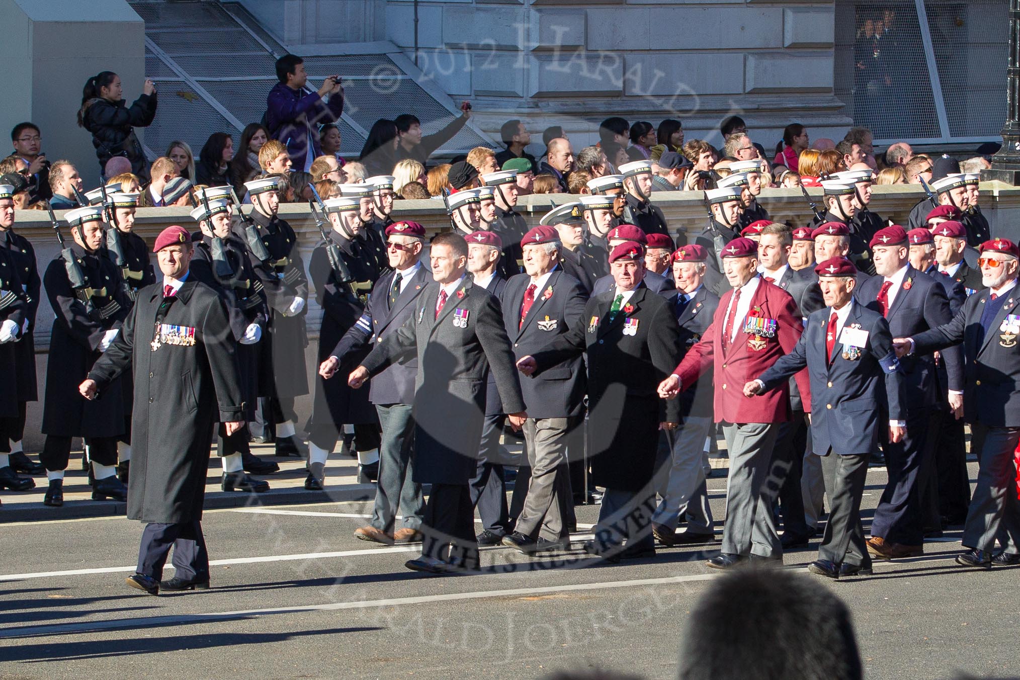 Remembrance Sunday 2012 Cenotaph March Past: Group A20 - Parachute Regimental Association..
Whitehall, Cenotaph,
London SW1,

United Kingdom,
on 11 November 2012 at 11:51, image #679