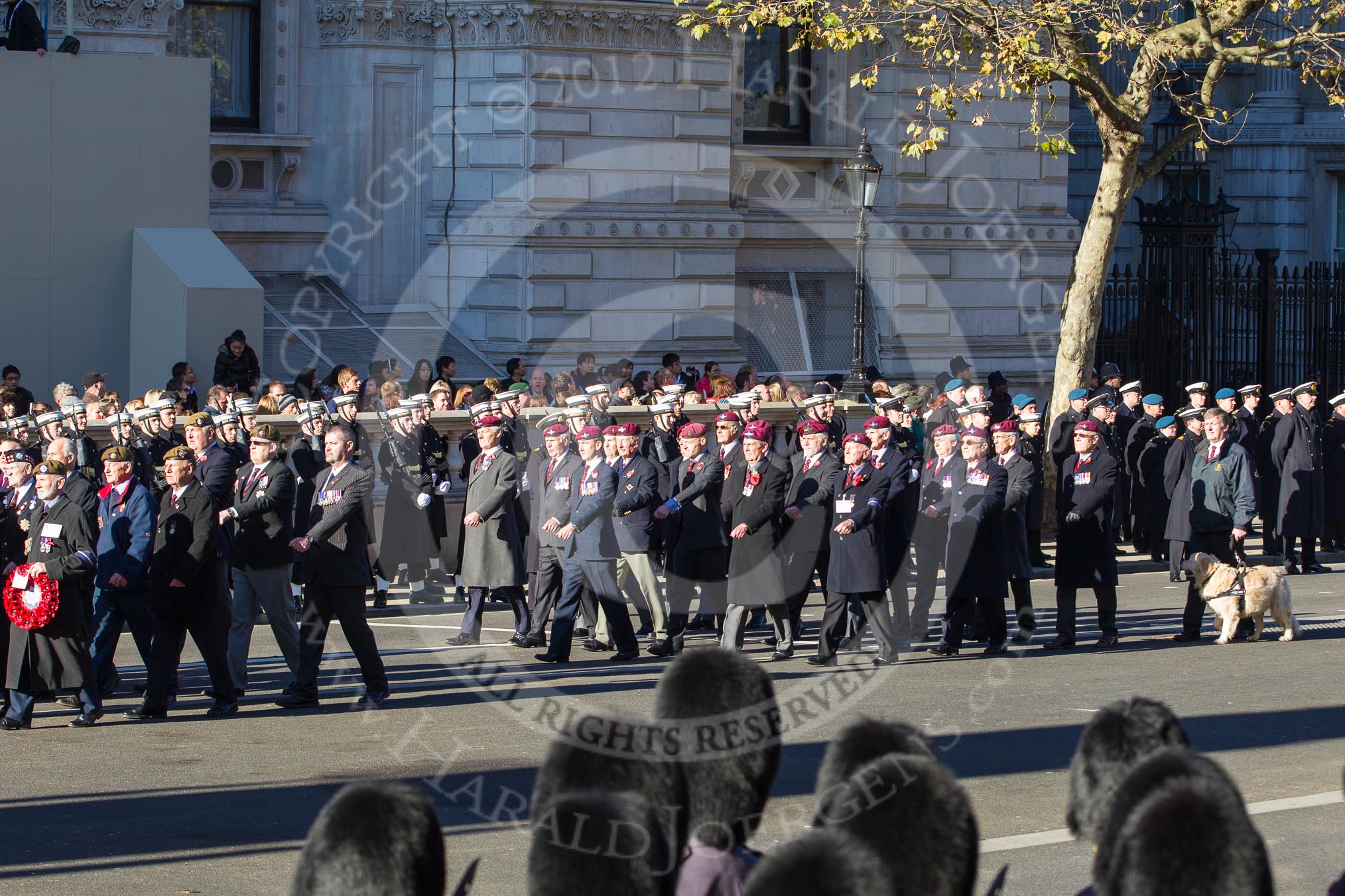 Remembrance Sunday 2012 Cenotaph March Past: Group  A28 - Scots Guards Association and A29 - Guards Parachute Association..
Whitehall, Cenotaph,
London SW1,

United Kingdom,
on 11 November 2012 at 11:53, image #755