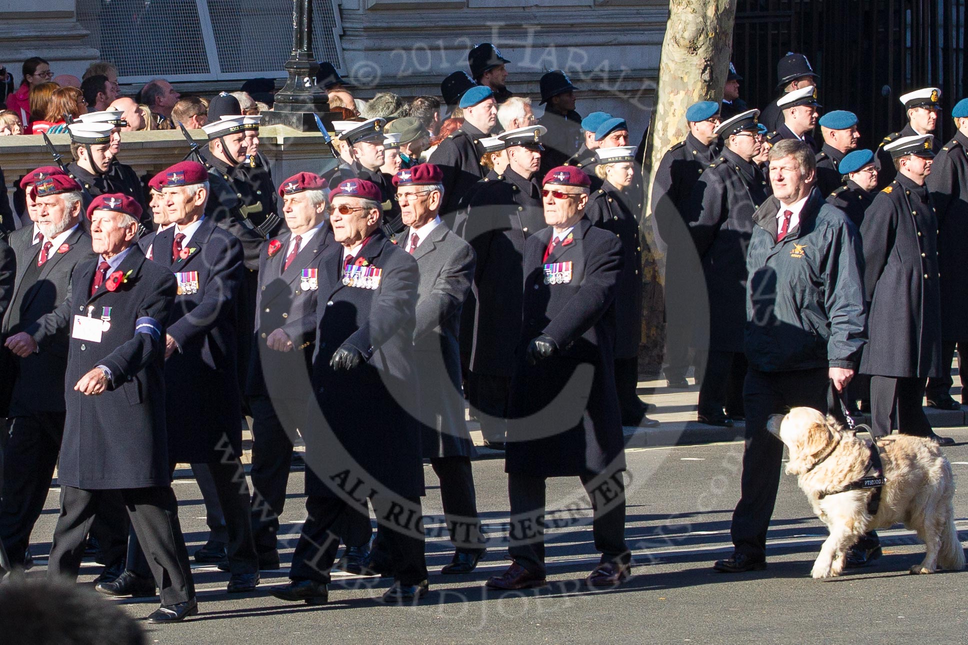 Remembrance Sunday 2012 Cenotaph March Past: Group A29 - Guards Parachute Association..
Whitehall, Cenotaph,
London SW1,

United Kingdom,
on 11 November 2012 at 11:53, image #758