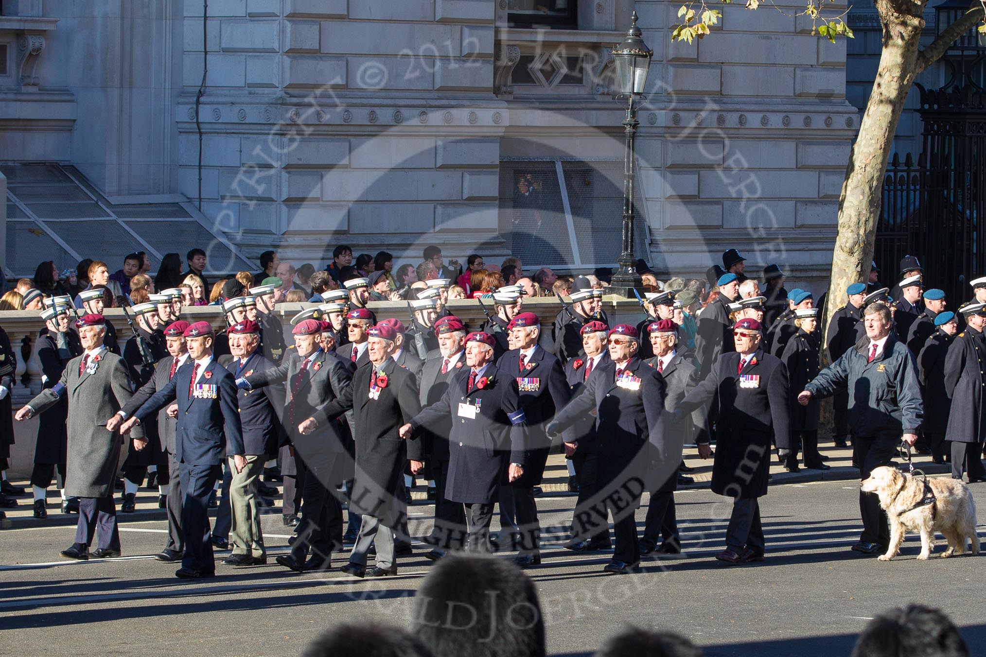 Remembrance Sunday 2012 Cenotaph March Past: Group A29 - Guards Parachute Association..
Whitehall, Cenotaph,
London SW1,

United Kingdom,
on 11 November 2012 at 11:53, image #759