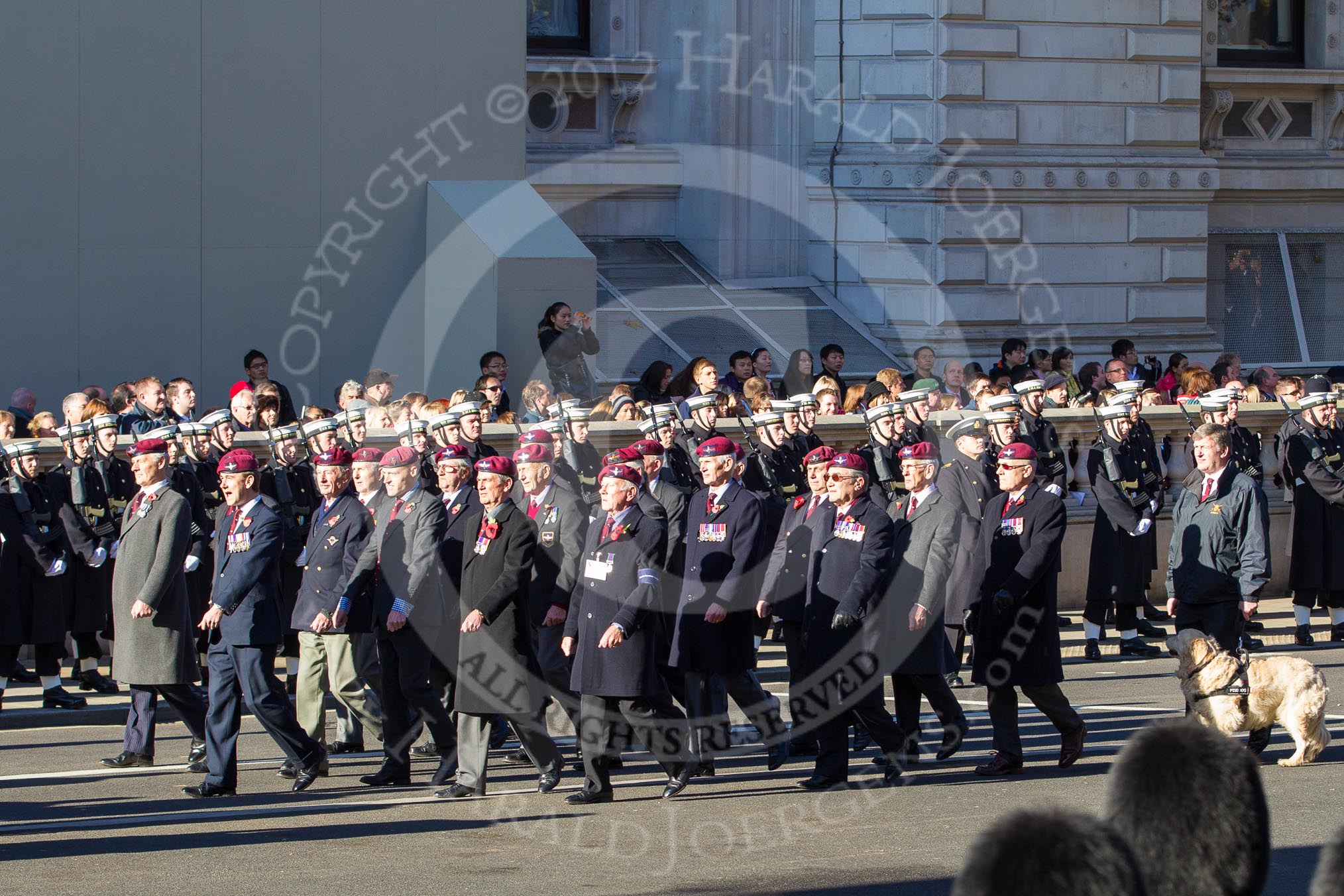 Remembrance Sunday 2012 Cenotaph March Past: Group A29 - Guards Parachute Association..
Whitehall, Cenotaph,
London SW1,

United Kingdom,
on 11 November 2012 at 11:53, image #760