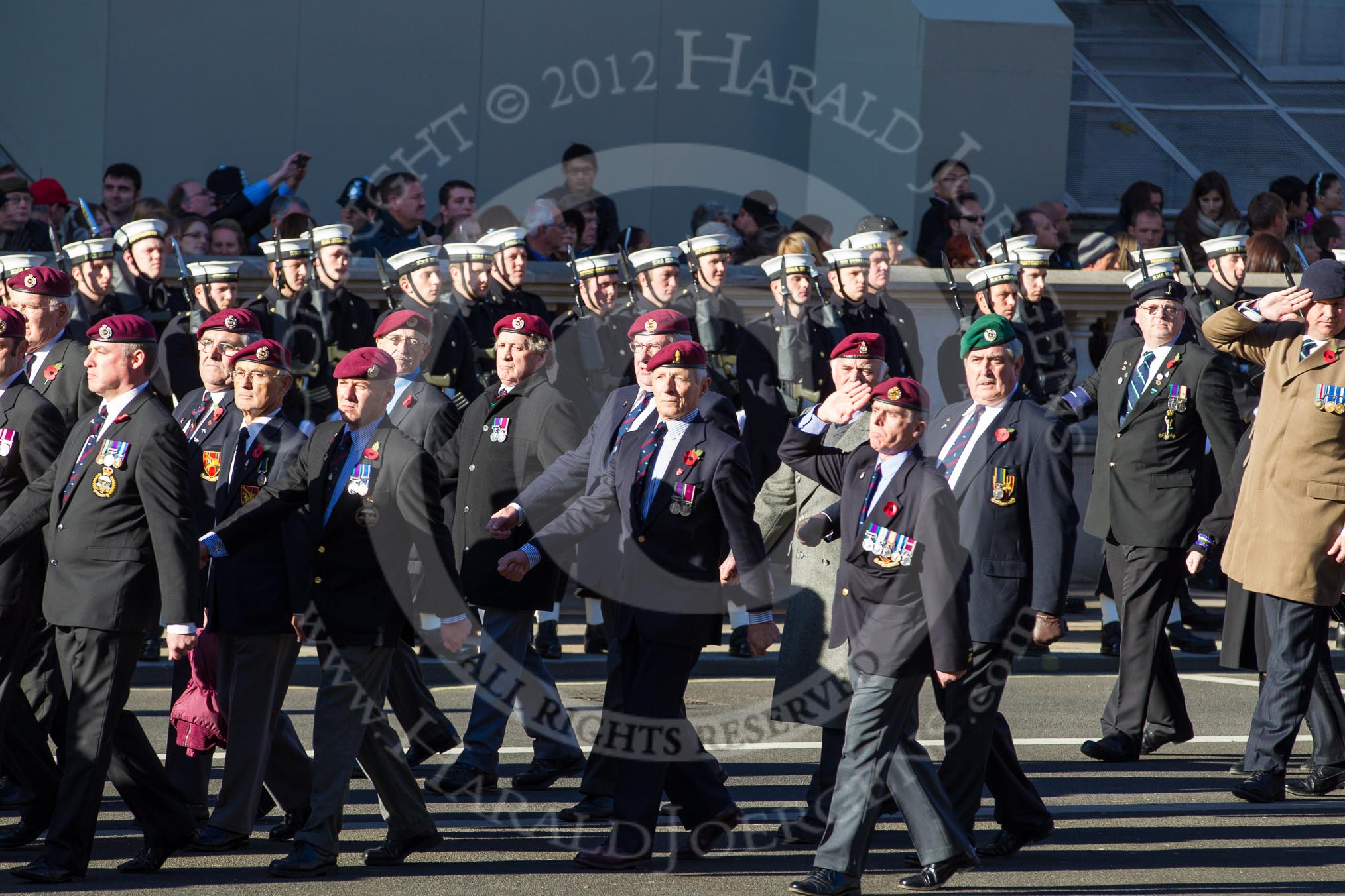 Remembrance Sunday 2012 Cenotaph March Past: Group B28 - Airborne Engineers Association and B29 - Royal Signals Association..
Whitehall, Cenotaph,
London SW1,

United Kingdom,
on 11 November 2012 at 11:59, image #999