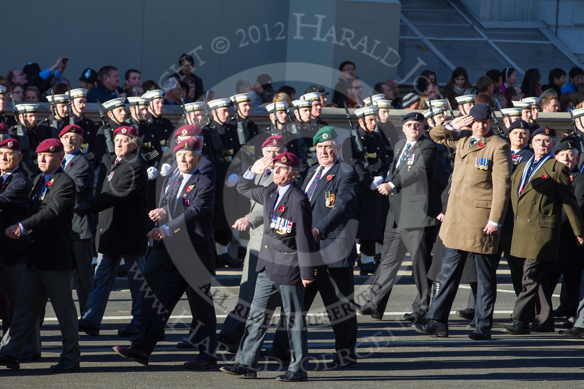 Remembrance Sunday 2012 Cenotaph March Past: Group B28 - Airborne Engineers Association and B29 - Royal Signals Association..
Whitehall, Cenotaph,
London SW1,

United Kingdom,
on 11 November 2012 at 11:59, image #1000