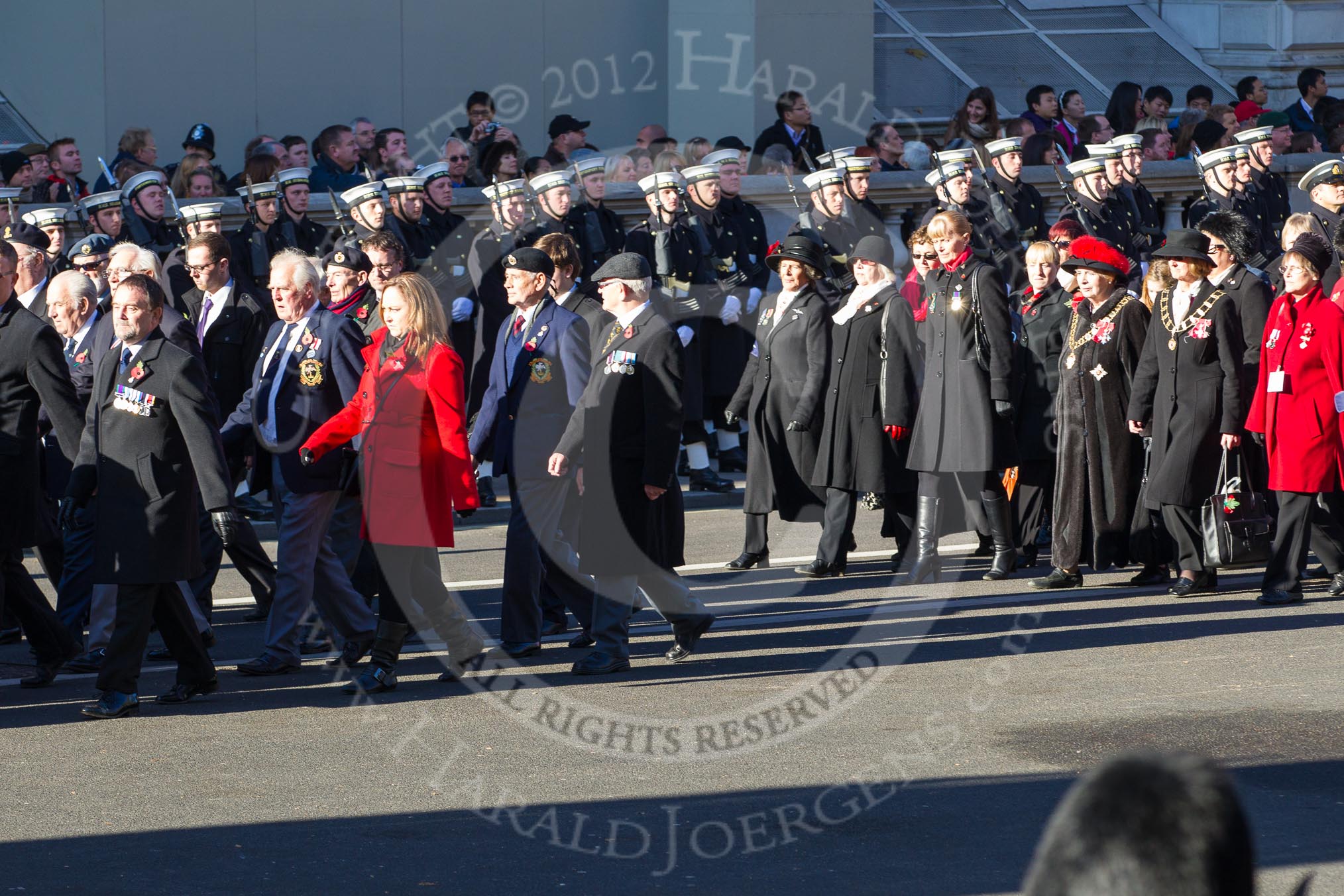 Remembrance Sunday 2012 Cenotaph March Past: Group D5 - British Nuclear Test Veterans Association and D6 - War Widows Association..
Whitehall, Cenotaph,
London SW1,

United Kingdom,
on 11 November 2012 at 12:05, image #1256