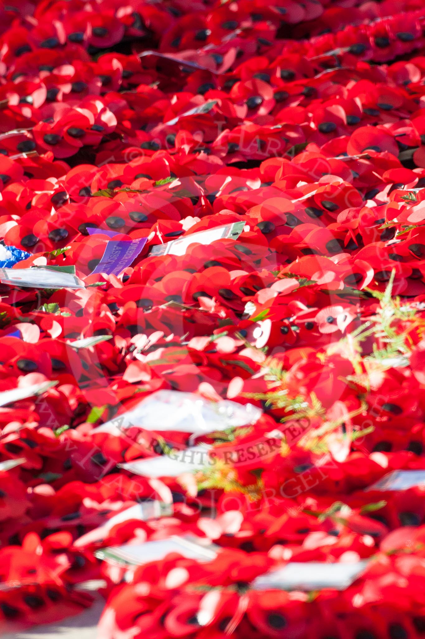 Remembrance Sunday 2012 Cenotaph March Past: The base of the Cenptaph surrounded by poppy-red wreaths after the ceremony and the March Past..
Whitehall, Cenotaph,
London SW1,

United Kingdom,
on 11 November 2012 at 12:18, image #1784