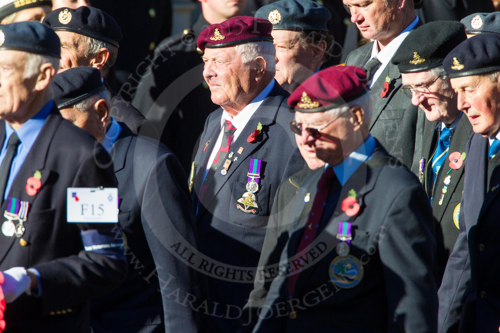 Remembrance Sunday Cenotaph March Past 2013: F15 - Suez Veterans Association..
Press stand opposite the Foreign Office building, Whitehall, London SW1,
London,
Greater London,
United Kingdom,
on 10 November 2013 at 11:52, image #869