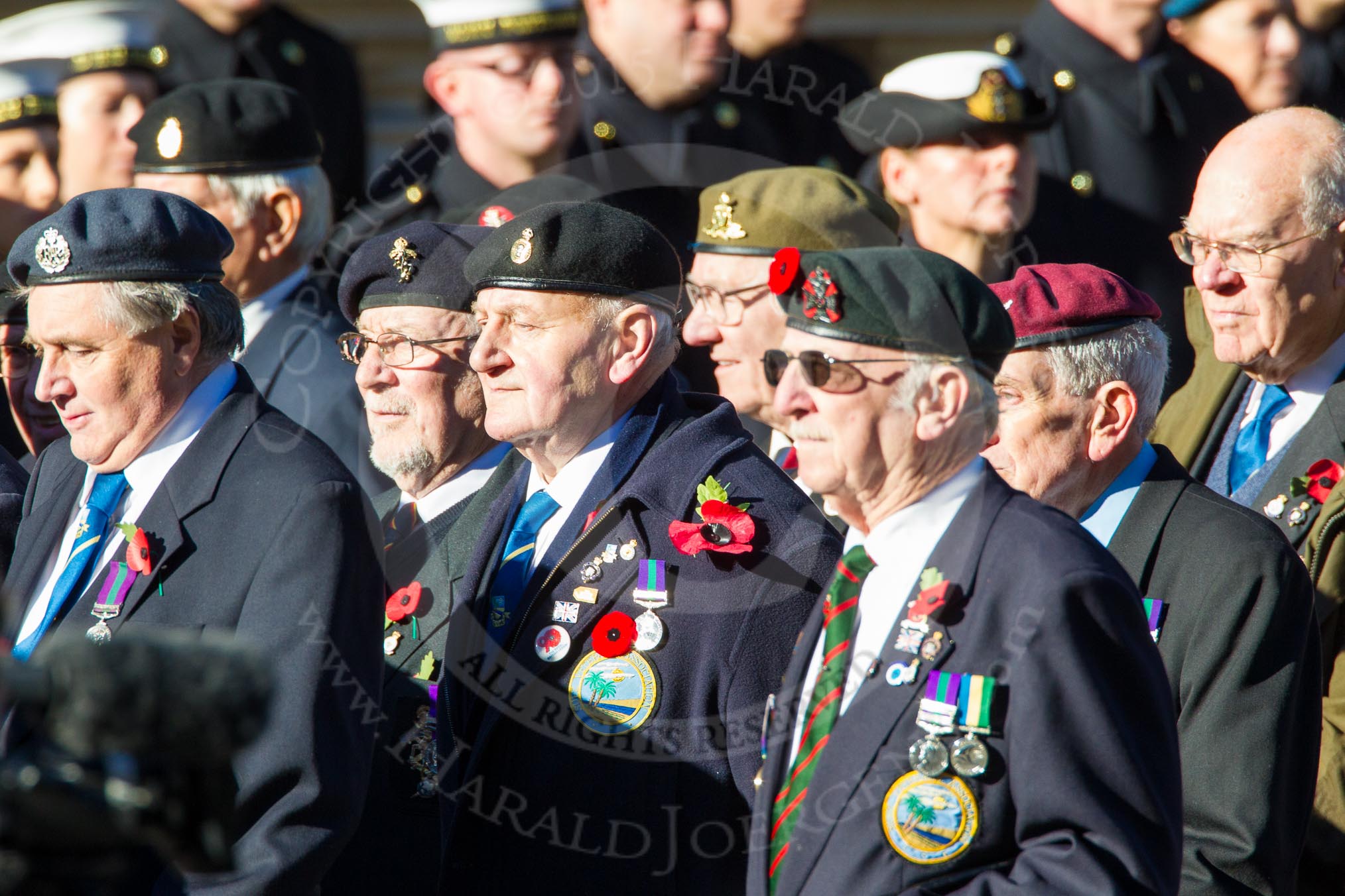 Remembrance Sunday Cenotaph March Past 2013: F15 - Suez Veterans Association..
Press stand opposite the Foreign Office building, Whitehall, London SW1,
London,
Greater London,
United Kingdom,
on 10 November 2013 at 11:52, image #875