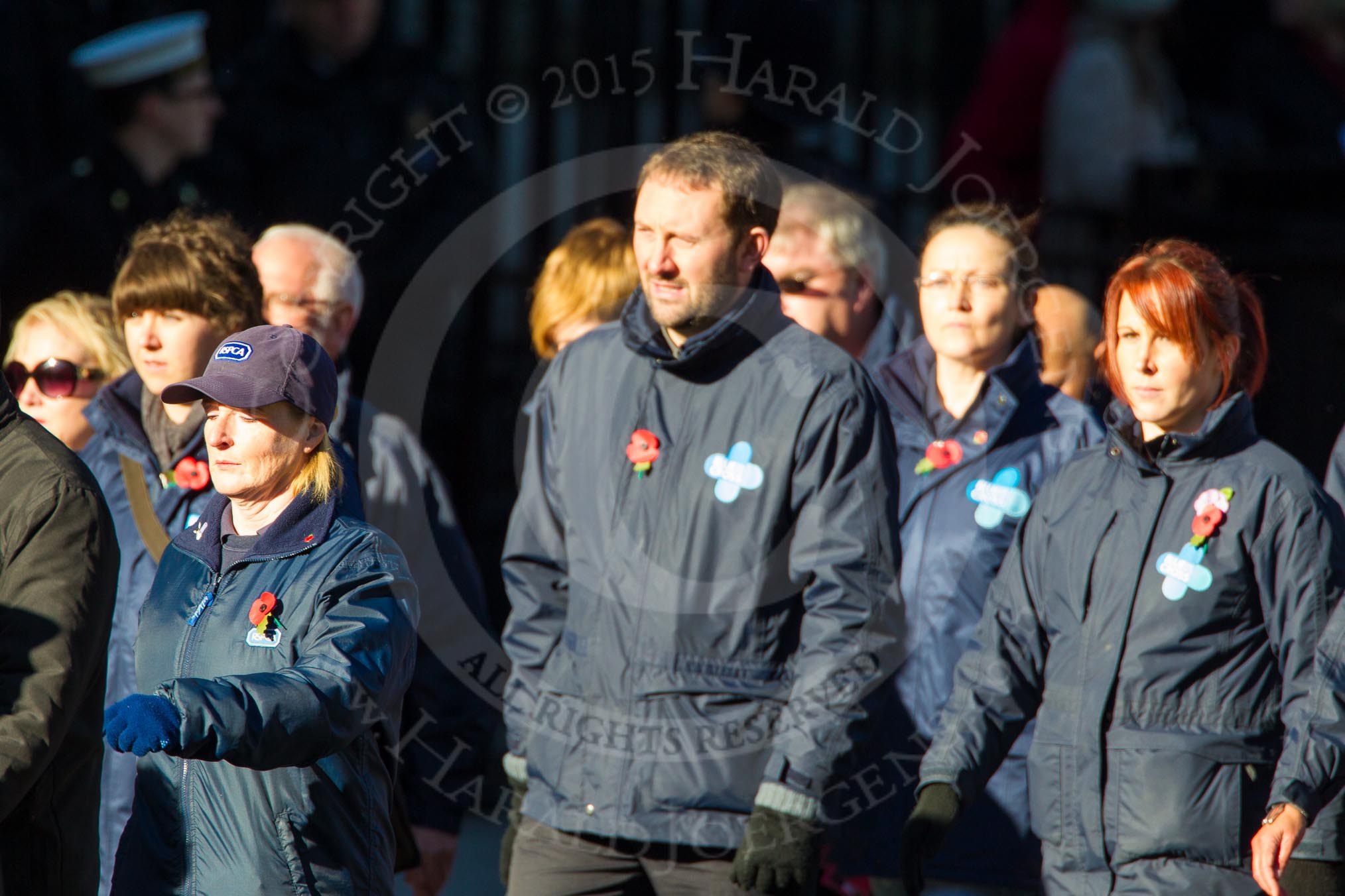 Remembrance Sunday Cenotaph March Past 2013: M25 - Royal Society for the Prevention of Cruelty to Animals..
Press stand opposite the Foreign Office building, Whitehall, London SW1,
London,
Greater London,
United Kingdom,
on 10 November 2013 at 12:12, image #2076