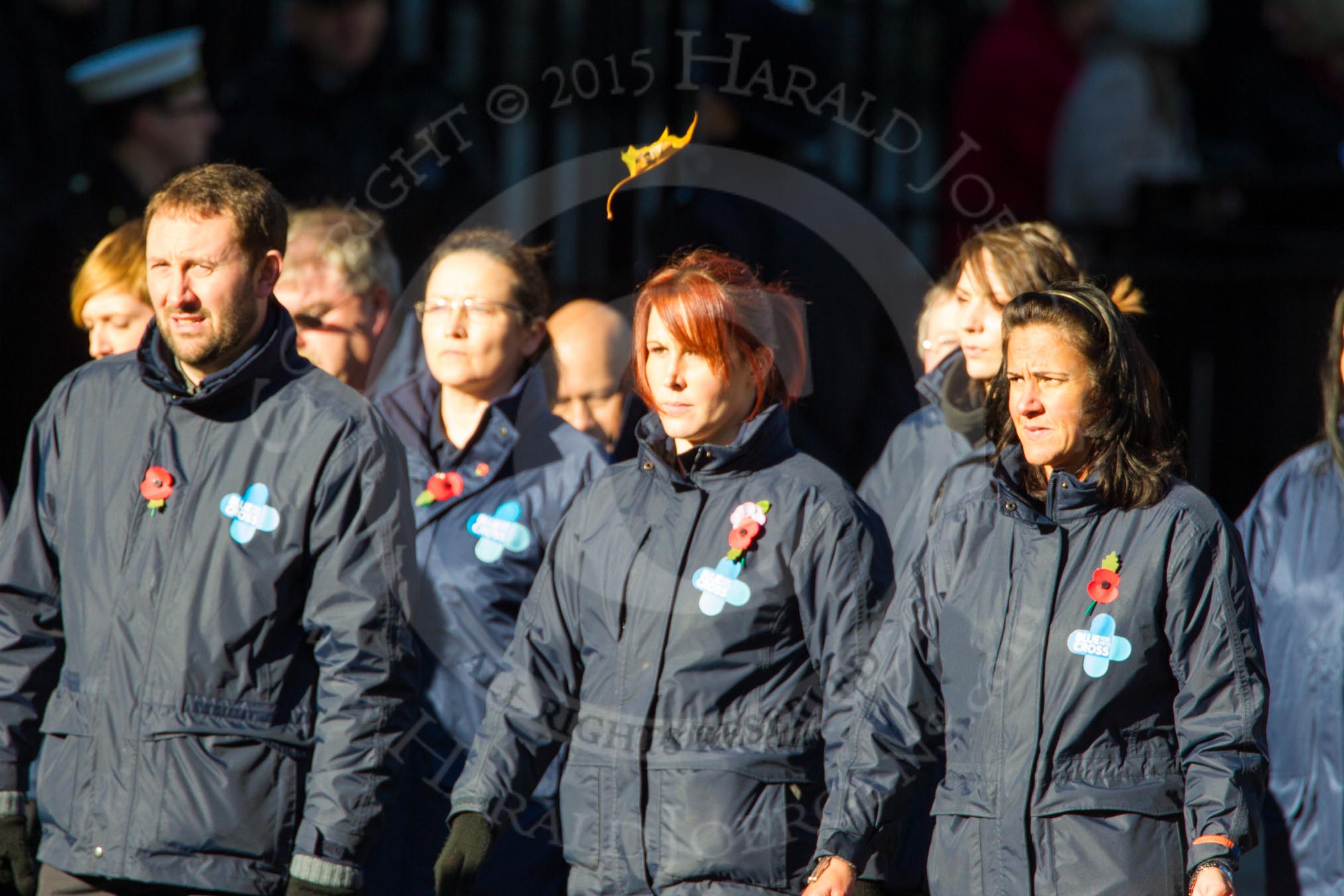 Remembrance Sunday Cenotaph March Past 2013: M26 - The Blue Cross..
Press stand opposite the Foreign Office building, Whitehall, London SW1,
London,
Greater London,
United Kingdom,
on 10 November 2013 at 12:12, image #2078