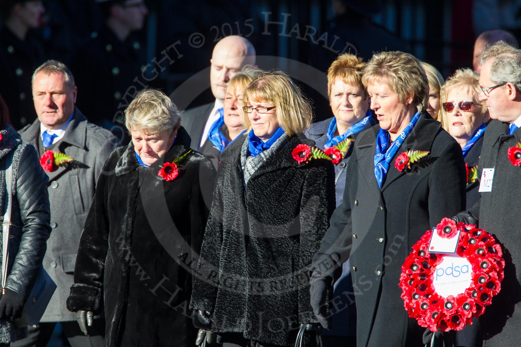 Remembrance Sunday Cenotaph March Past 2013: M27 - PDSA..
Press stand opposite the Foreign Office building, Whitehall, London SW1,
London,
Greater London,
United Kingdom,
on 10 November 2013 at 12:12, image #2086