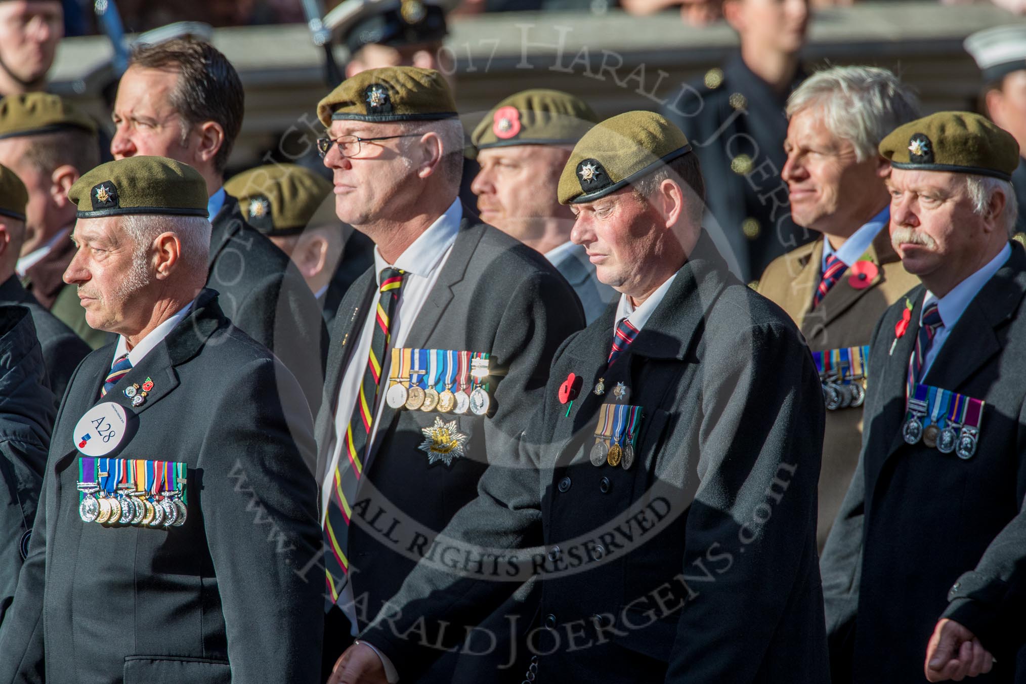 The Royal Anglian Regiment (Group A28, 21 members) during the Royal British Legion March Past on Remembrance Sunday at the Cenotaph, Whitehall, Westminster, London, 11 November 2018, 12:01.