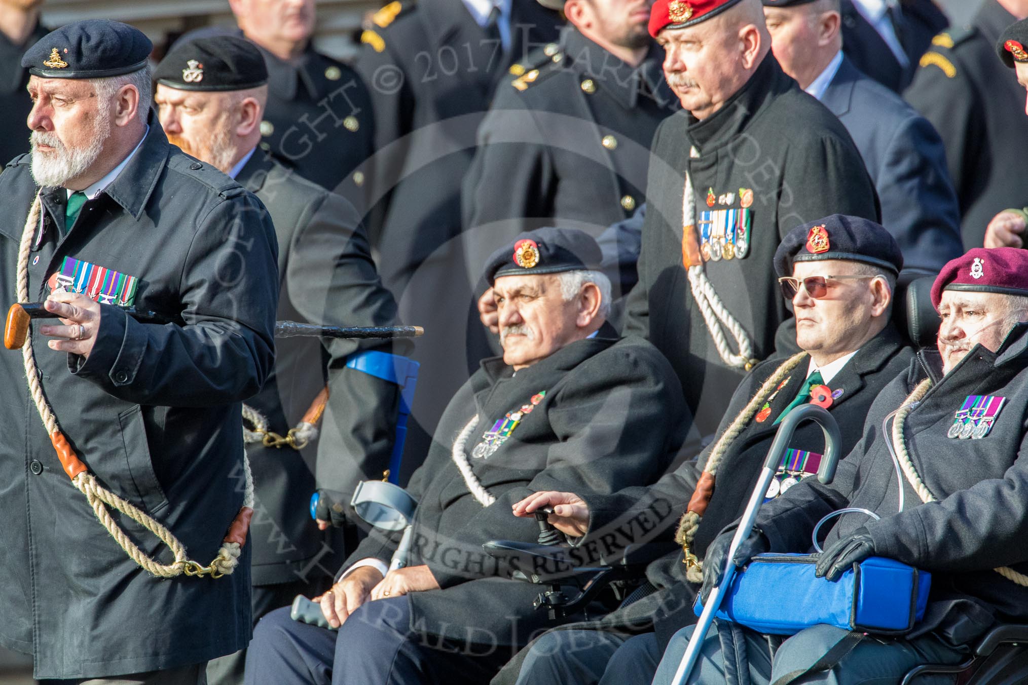 The Army Dog Unit Northern Ireland (RAVC) Association (Group B3, 38 members) during the Royal British Legion March Past on Remembrance Sunday at the Cenotaph, Whitehall, Westminster, London, 11 November 2018, 12:06.