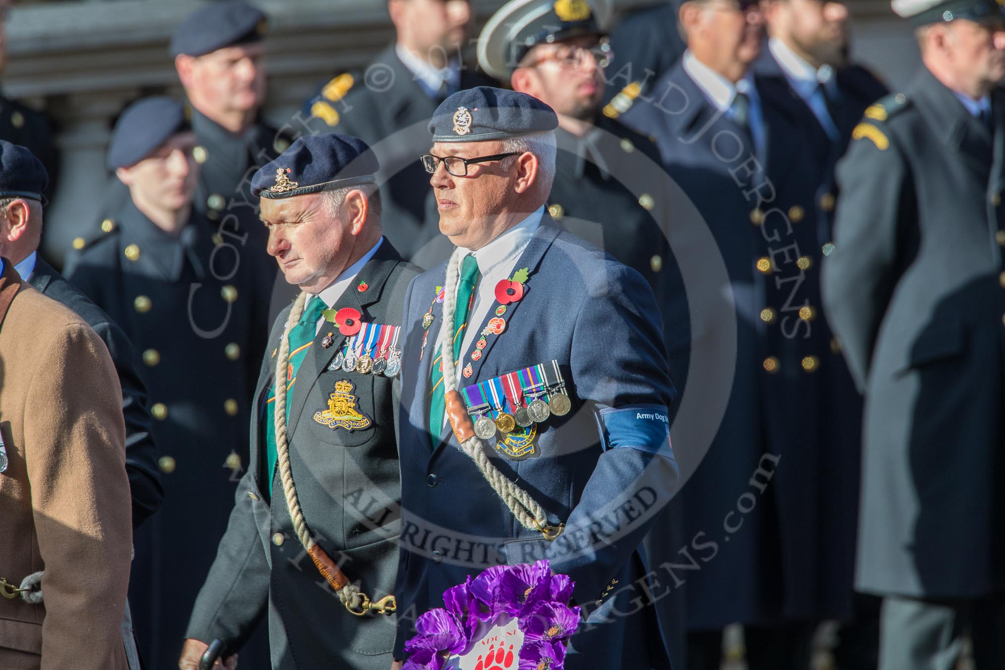 The Army Dog Unit Northern Ireland (RAVC) Association (Group B3, 38 members) during the Royal British Legion March Past on Remembrance Sunday at the Cenotaph, Whitehall, Westminster, London, 11 November 2018, 12:06.