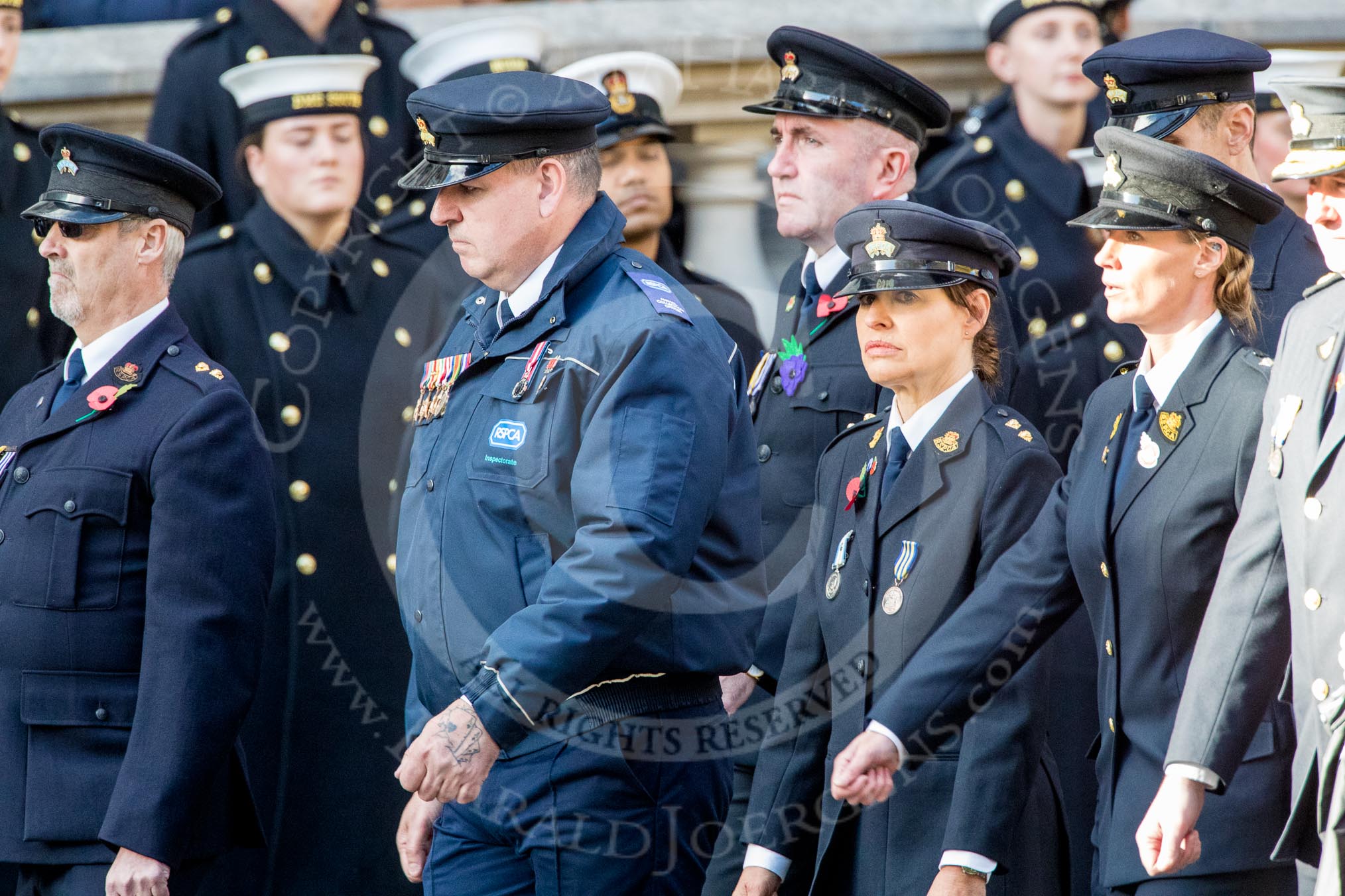RSPCA (Group M19, 22 members) during the Royal British Legion March Past on Remembrance Sunday at the Cenotaph, Whitehall, Westminster, London, 11 November 2018, 12:27.