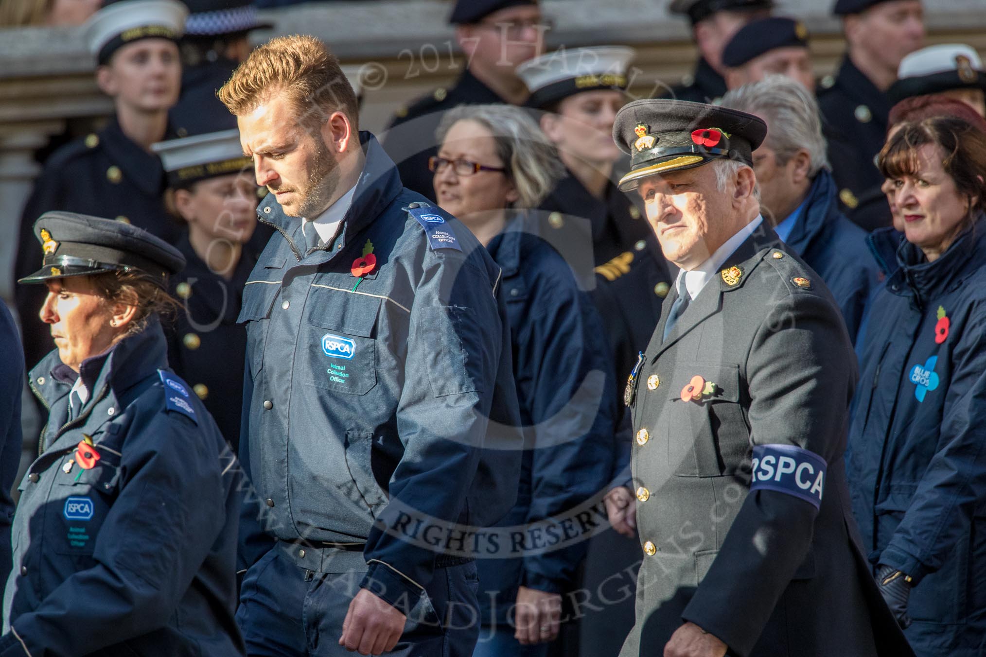 RSPCA (Group M19, 22 members) during the Royal British Legion March Past on Remembrance Sunday at the Cenotaph, Whitehall, Westminster, London, 11 November 2018, 12:27.