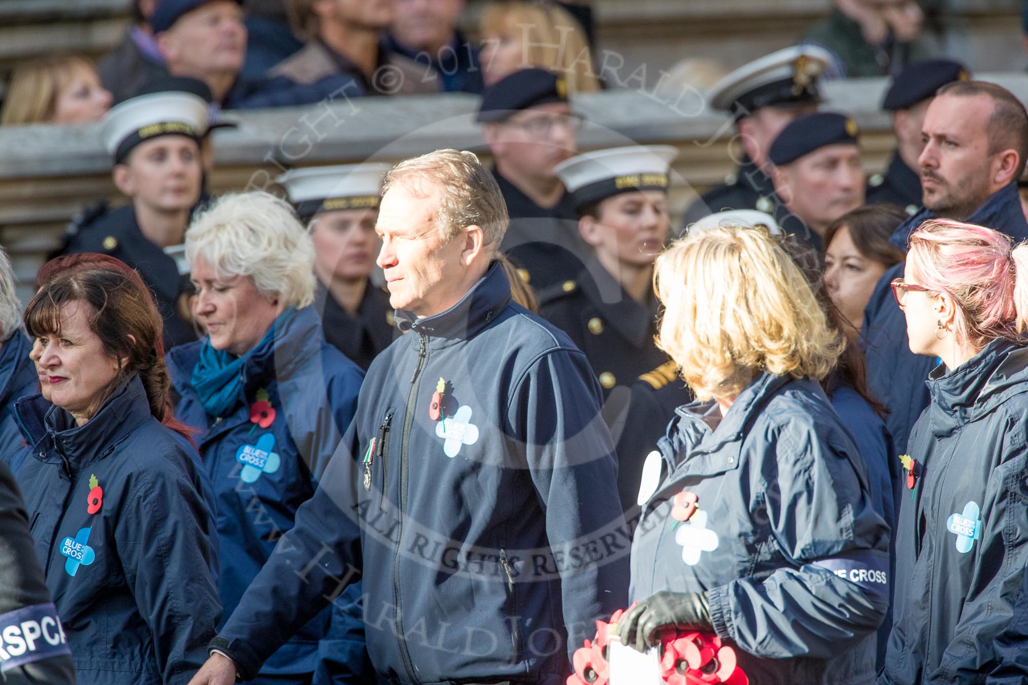 Blue Cross (Group M20, 18 members) during the Royal British Legion March Past on Remembrance Sunday at the Cenotaph, Whitehall, Westminster, London, 11 November 2018, 12:27..