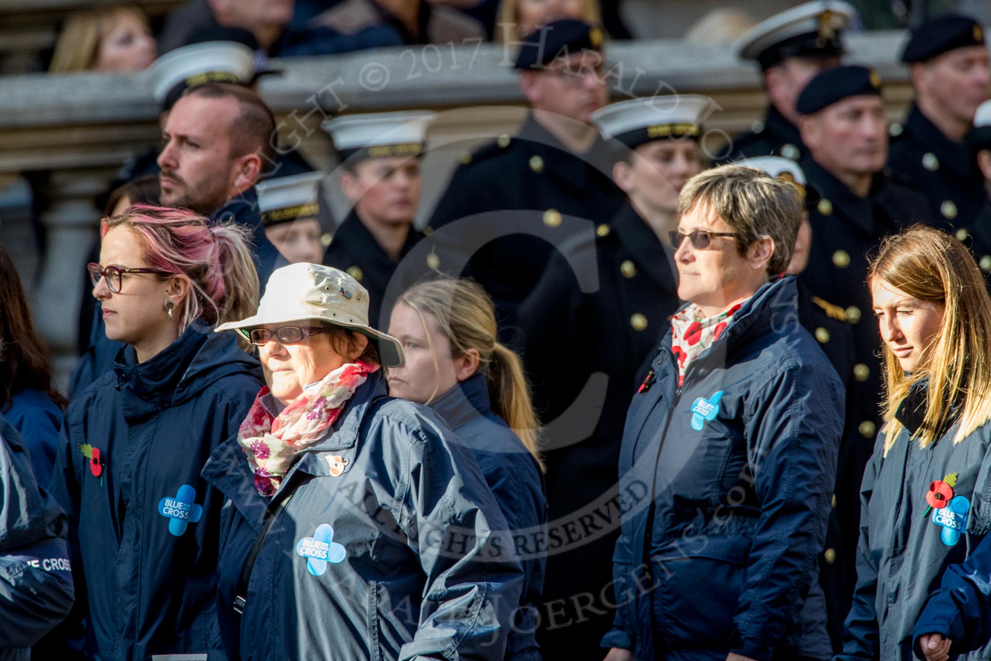 Blue Cross (Group M20, 18 members) during the Royal British Legion March Past on Remembrance Sunday at the Cenotaph, Whitehall, Westminster, London, 11 November 2018, 12:27.