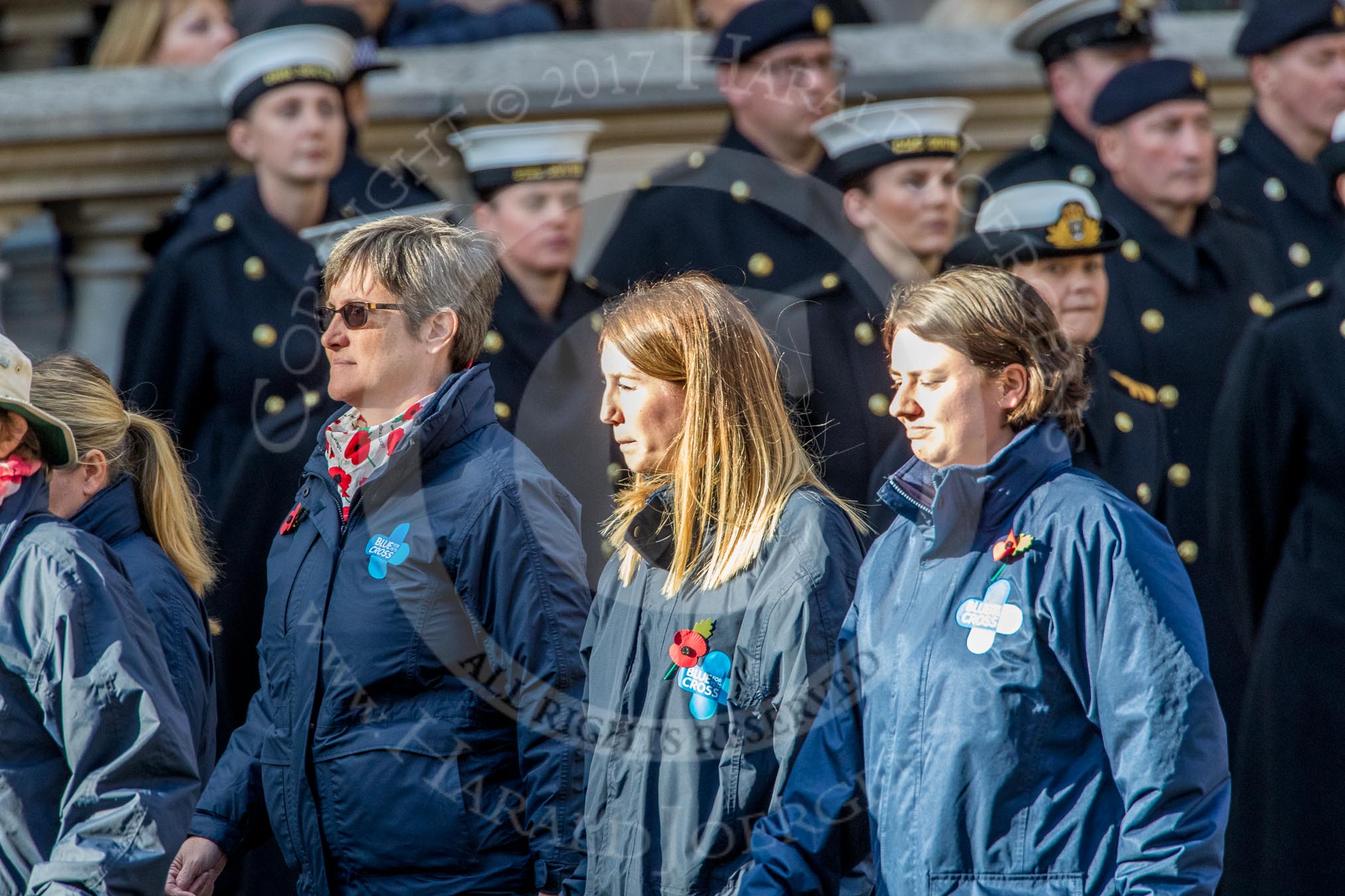 Blue Cross (Group M20, 18 members) during the Royal British Legion March Past on Remembrance Sunday at the Cenotaph, Whitehall, Westminster, London, 11 November 2018, 12:27.