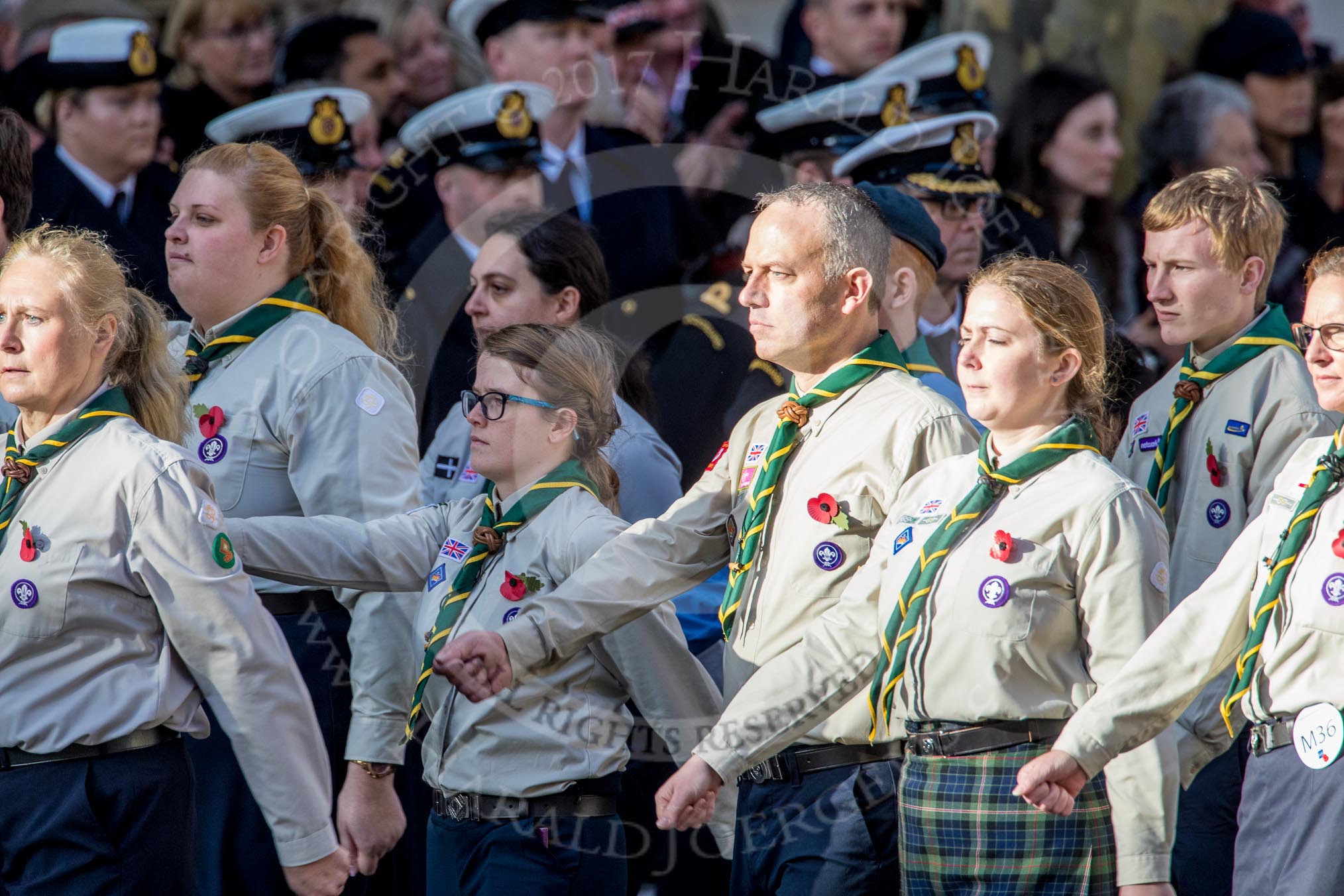 The Scout Association (Group M36, 30 members) during the Royal British Legion March Past on Remembrance Sunday at the Cenotaph, Whitehall, Westminster, London, 11 November 2018, 12:30.