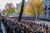 The western side of Whitehall before the begin of the March Past, after the Cenotaph Ceremony on Remembrance Sunday at the Cenotaph, Whitehall, Westminster, London, 11 November 2018, 11:37.