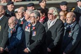 Fleet Air Arm Armourers Association  (Group E6, 27 members) during the Royal British Legion March Past on Remembrance Sunday at the Cenotaph, Whitehall, Westminster, London, 11 November 2018, 11:42.