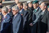 Fleet Air Arm Officers' Association  (Group E11, 22 members) during the Royal British Legion March Past on Remembrance Sunday at the Cenotaph, Whitehall, Westminster, London, 11 November 2018, 11:43.