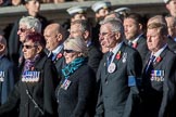 Sea Harrier (Group E15, 30 members) during the Royal British Legion March Past on Remembrance Sunday at the Cenotaph, Whitehall, Westminster, London, 11 November 2018, 11:43.