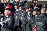HMS Hermes Association  (Group E21, 30 members) during the Royal British Legion March Past on Remembrance Sunday at the Cenotaph, Whitehall, Westminster, London, 11 November 2018, 11:44.