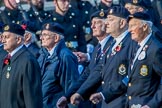 TON Class Association  (Group E31, 23 members) during the Royal British Legion March Past on Remembrance Sunday at the Cenotaph, Whitehall, Westminster, London, 11 November 2018, 11:45.