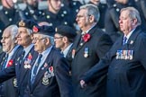 TON Class Association  (Group E31, 23 members) during the Royal British Legion March Past on Remembrance Sunday at the Cenotaph, Whitehall, Westminster, London, 11 November 2018, 11:45.