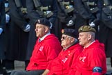 British Ex-Services Wheelchair Sports Association  (Group AA2, 14 members) during the Royal British Legion March Past on Remembrance Sunday at the Cenotaph, Whitehall, Westminster, London, 11 November 2018, 11:48.