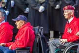 British Ex-Services Wheelchair Sports Association  (Group AA2, 14 members) during the Royal British Legion March Past on Remembrance Sunday at the Cenotaph, Whitehall, Westminster, London, 11 November 2018, 11:48.
