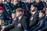 Help for Heroes (Group F4, 100 members) during the Royal British Legion March Past on Remembrance Sunday at the Cenotaph, Whitehall, Westminster, London, 11 November 2018, 11:50.