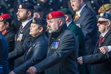 Help for Heroes (Group F4, 100 members) during the Royal British Legion March Past on Remembrance Sunday at the Cenotaph, Whitehall, Westminster, London, 11 November 2018, 11:50.