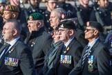 Help for Heroes (Group F4, 100 members) during the Royal British Legion March Past on Remembrance Sunday at the Cenotaph, Whitehall, Westminster, London, 11 November 2018, 11:50.
