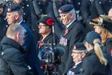 Suez Veterans' Association (Group F15, 32 members) during the Royal British Legion March Past on Remembrance Sunday at the Cenotaph, Whitehall, Westminster, London, 11 November 2018, 11:52.
