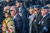 National Gulf Veterans and Families Association (Group F14, 25 members) during the Royal British Legion March Past on Remembrance Sunday at the Cenotaph, Whitehall, Westminster, London, 11 November 2018, 11:52.