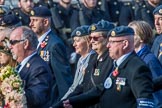 National Gulf Veterans and Families Association (Group F14, 25 members) during the Royal British Legion March Past on Remembrance Sunday at the Cenotaph, Whitehall, Westminster, London, 11 November 2018, 11:52.