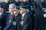 National Gulf Veterans and Families Association (Group F14, 25 members) during the Royal British Legion March Past on Remembrance Sunday at the Cenotaph, Whitehall, Westminster, London, 11 November 2018, 11:52.