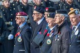 Suez Veterans' Association (Group F15, 32 members) during the Royal British Legion March Past on Remembrance Sunday at the Cenotaph, Whitehall, Westminster, London, 11 November 2018, 11:52.