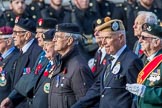 Suez Veterans' Association (Group F15, 32 members) during the Royal British Legion March Past on Remembrance Sunday at the Cenotaph, Whitehall, Westminster, London, 11 November 2018, 11:52.