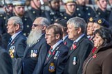The South Atlantic Medal Association 1982 (Group F17, 150 members) during the Royal British Legion March Past on Remembrance Sunday at the Cenotaph, Whitehall, Westminster, London, 11 November 2018, 11:52.