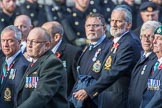 The South Atlantic Medal Association 1982 (Group F17, 150 members) during the Royal British Legion March Past on Remembrance Sunday at the Cenotaph, Whitehall, Westminster, London, 11 November 2018, 11:52.